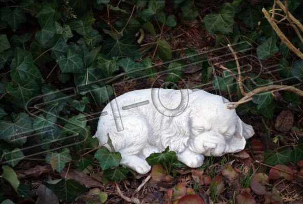 Egyptische kattenstandbeeld Wit Beeld Standbeelden Tuindecoratie Terras