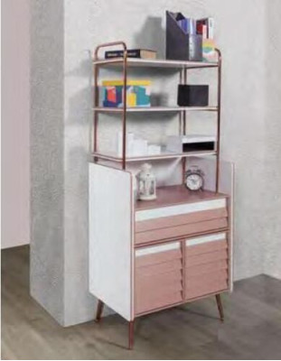 Kinderkamer Jeugdkamer Commode Kinderkast Twee kleuren Meubels Meisje Nieuw