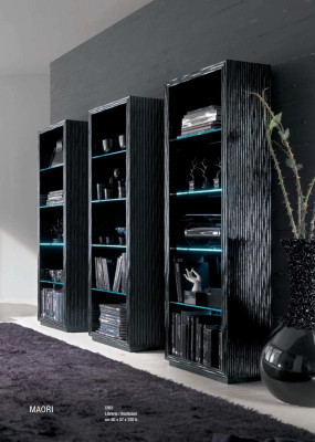 Woonkamer kasten planken boekenkast systeem meubel ontwerp scheidingswand plank