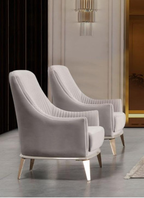 Fauteuil Groep Oorfauteuil Modern Stof Zitter Polyester 2-delig Set Grijs