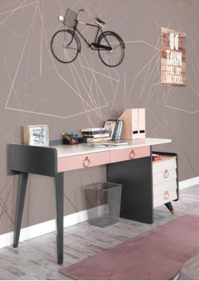 Sekretariatsbureaudesign Luxe schrijfmeubels Houten bureaus