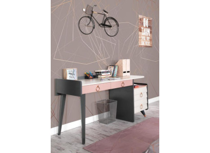 Sekretariatsbureaudesign Luxe schrijfmeubels Houten bureaus