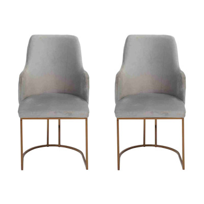 Moderne eetkamerstoel keukenstoelen Luxe ontwerp 2x stoelen Armstoelen Grijs Nieuw