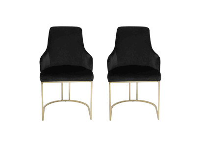Zwarte roestvrijstalen stoelen 2x eetkamerstoelen Luxe zitmeubels 2-delige set