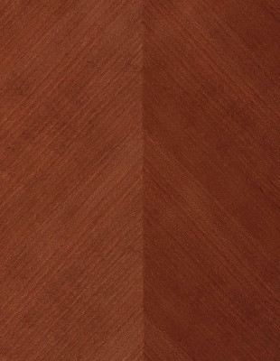 Hoogwaardige design vitrinekast vitrineplank glazen wandrekken