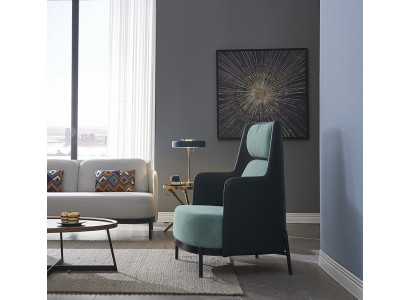 Fauteuil Clubfauteuil Loungestoel Cocktailfauteuil Fauteuil Bank Bankstellen TV Nieuw