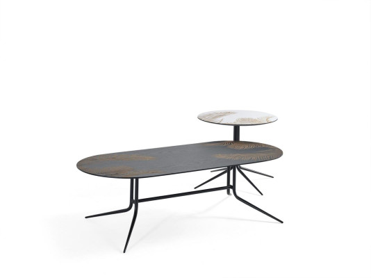 Ontwerpkoffietafel bijzettafel woonkamertafel ontwerptafel luxe