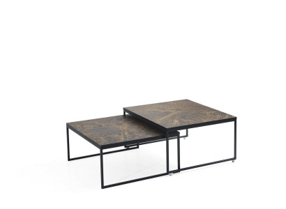 Salontafel Luxe Bijzettafel Meubels Hout Modern Woonkamer Design