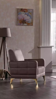 Roestvrijstalen fauteuil woonkamer meubels gestoffeerde fauteuil