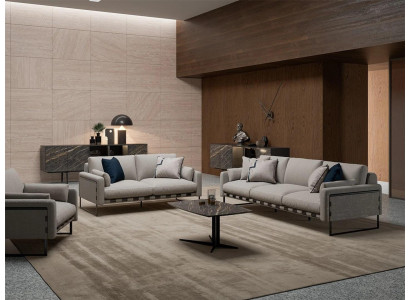 Sofa van driezits moderne bank van tweezitter meubels salontafel