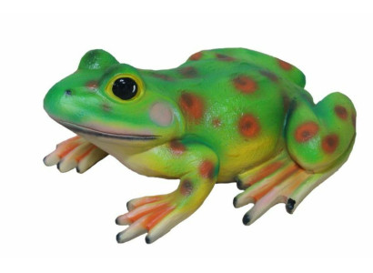 Ontwerp Kikker Figuur Tuin Standbeeld Sculptuur Figuren Sculpturen Decoratie c829