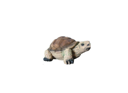 Decoratiefiguur Woonkamer Modern Standbeeld Schildpad Tuin Beschilderd 18 cm Decoratie