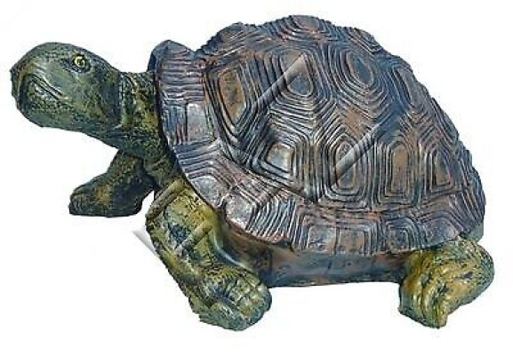 Ontwerp Schildpad Figuur Standbeeld Sculptuur Figuren Sculpturen Tuindecoratie Beelden