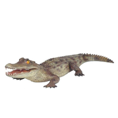 Krokodil Tuindecoratie Levensgroot Standbeeld Figuren Beeldhouwwerk 198cm Standbeelden Figuur