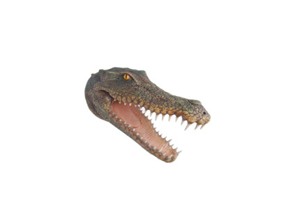 Beeld Krokodil Muur reptielen Sculpturen Figuren Standbeelden Beeld Standbeeld 80cm