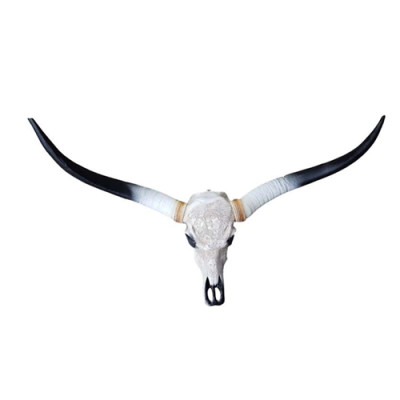 Bul Runderschedeldecoratie niet Echt 100 cm Wandontwerp Waterschedel van Buffel