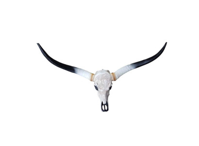 Bul Runderschedeldecoratie niet Echt 100 cm Wandontwerp Waterschedel van Buffel
