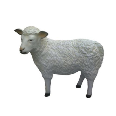 Schaap Decoratief Standbeeld Tuin Beelden Standbeelden 80 cm Levensgrote Figuur