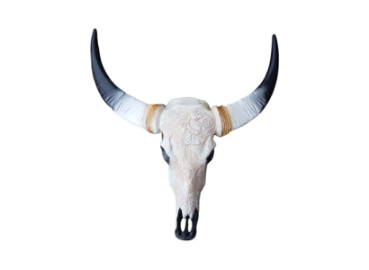 Bul Runderschedeldecoratie niet echt 69 cm wandontwerp deco wand schedel