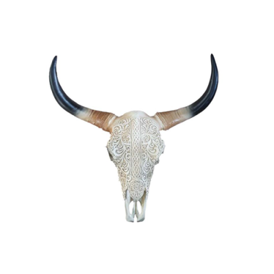 Bulle Rinderschedel Decoratie Niet Echt 65cm Muurontwerp Waterbuffel Schedel