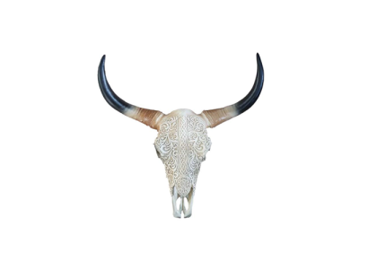 Bulle Rinderschedel Decoratie Niet Echt 65cm Muurontwerp Waterbuffel Schedel