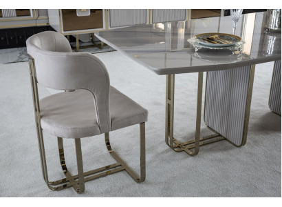 Stoel Beige Elegante Moderne Eetkamer Mooi Stofontwerp Luxe Metalen Stoelen