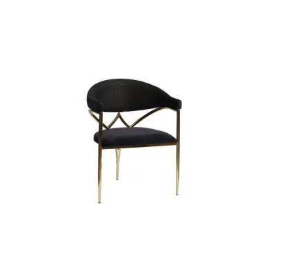 Zwarte roestvrijstalen stoel met houten frame eetkamerstoelen Moderne eenzitters