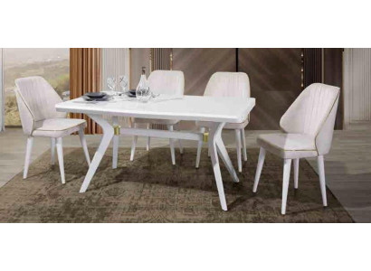 Esgruppen Set Luxus Wit 4x Stoelen RVS Meubels Houten Meubels