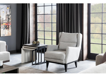 Woonkamer fauteuil zits ontwerp bank bekleding luxe grijs stijl modern = Woonkamer fauteuil stoel ontwerp bank bekleding luxe grijs stijl modern