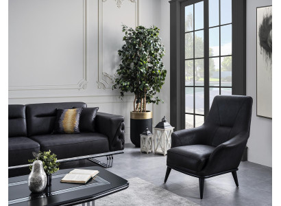 Woonkamer Oorfauteuil Stoel Ontwerp Zwarte Club Lounge Praktijk