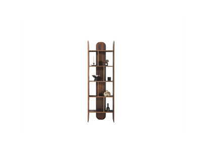 Ontwerp boekenkast woonkamer kasten hout bruine kleur nieuw planken.
