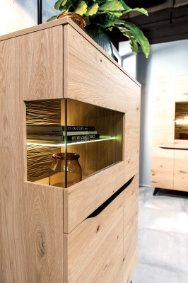 Luxe vitrine houten designkast vitrinekasten planken 108,8 x 57,3 cm Nieuw