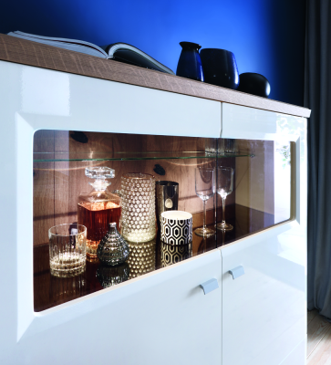 Vitrine archiefkast kast vitrines kantoor woonkamer hoge kast plank Nieuw ASKB