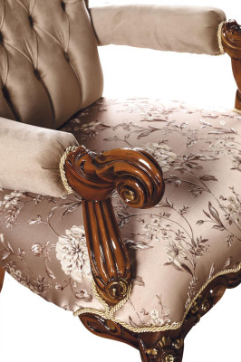 Fauteuil Troon Stoel Bank Barok Stoelen Meubels Inrichting Fluweel Goud