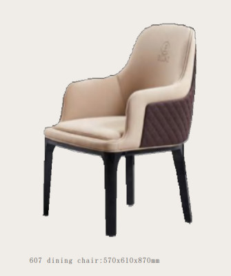 Stoelset Zitkussen Set Eetkamerstoelen Modern Lederen Hout