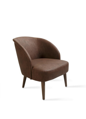 Moderne bruine fauteuil meubels woonkamer ontwerp inrichting nieuw.