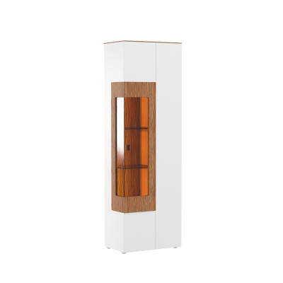 Vitrine glazen kast woonkamer etalage 1 deur. Vitrine hoge kast modern