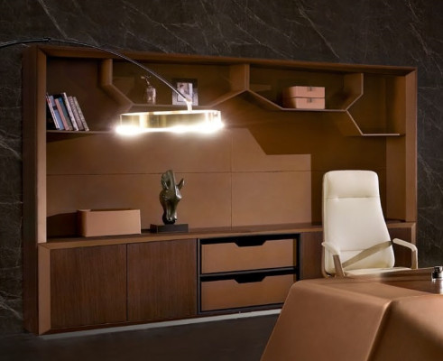 Bureauarchiefrek-kast houten planken kasten Kantoor Woonkamer