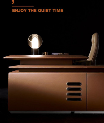 Bureauarchiefrek-kast houten planken kasten Kantoor Woonkamer