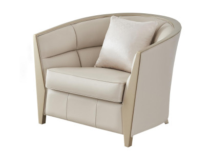 Fauteuil Bank Inrichting Fauteuil Eenpersoons Royal Stoel Bekleding Lounge Club