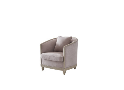 Woonkamer luxe fauteuil hotel bekleding moderne enkele ontwerper grijs