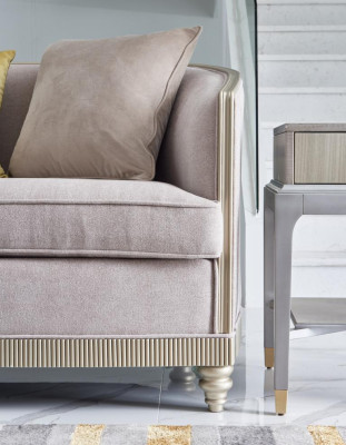 Woonkamer luxe fauteuil hotel bekleding moderne enkele ontwerper grijs