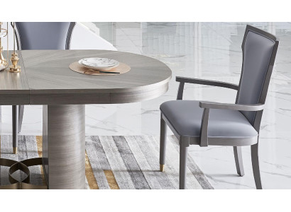 Stoelontwerper Set Zitkussen Luxe Meubels Leunstoelen Hout Eetkamer