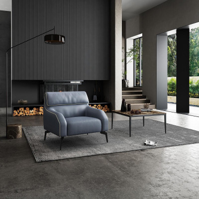 Woonkamer Ontwerp Fauteuil Eenpersoons Bank Bank Lounge Clubfauteuil 1 Zits