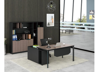 Aktenschrank Boekenkast Rekken Kast Luxe Decoratie Kantoor Meubilair Kasten