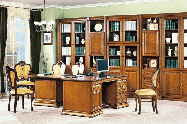 Klassieke kasten kast wandkast vitrine vitrinekast glazen kast SE-1