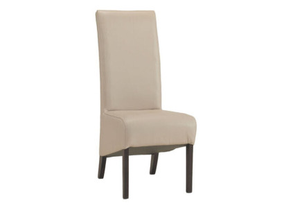 Ontwerp Armstoel Bekledingsset 2x Stoel Houten Stoelen Horeca Eetkamer Nieuw