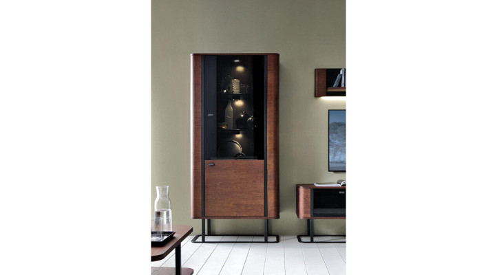 Vitrine archiefkast kast vitrines opbergkast woonkamer plank