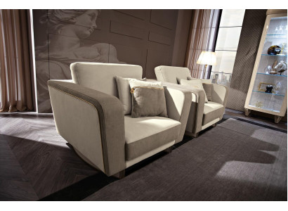 Meubels Inrichting Eenzitter Relax Club Leun Luxe Fauteuil Ontwerp Stoel Hotel Nieuw