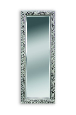 Muurspiegel Decoratie Meubels Wonen Interieur Muur Spiegel 83x177cm Nieuw